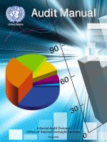 Audit Manual Internal Audit Division Office of Internal Oversight Services docx