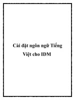 Cài đặt ngôn ngữ Tiếng Việt cho IDM pot