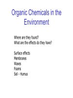 Organic Chemicals in the Environment pdf