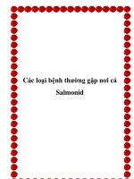 Các loại bệnh thường gặp nơi cá Salmonid doc