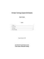 Information Technology Engineers Skill Standards pdf