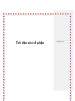 Trò đùa của số phận pot