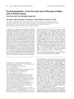 Báo cáo khoa học: Procarboxypeptidase A from the insect pest Helicoverpa armigera and its derived enzyme potx