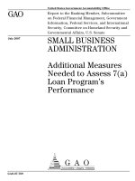 Additional Measures Needed to Assess 7(a) Loan Program’s Performance potx