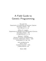 A Field Guide to Genetic Programming pdf