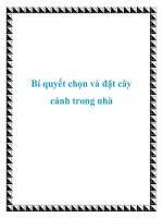 Bí quyết chọn và đặt cây cảnh trong nhà potx