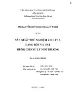 Sản xuất thử nghiệm Zeolit a dạng bột và hạt dùng cho xử lý môi trường doc