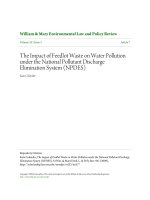 The Impact of Feedlot Waste on Water Pollution under the National Pollutant Discharge Elimination System (NPDES) docx