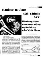 Khủng hoảng tài chính Mỹ kinh nghiệm hoạt động ngân hàng Việt Nam ppt