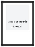 Stress và sự phát triển của não trẻ pdf