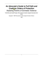 An Advocate''''s Guide to Full Faith and Credit for Orders of Protection pot