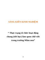 SÁNG KIẾN KINH NGHIỆM “ Thực trạng tổ chức hoạt động chung (tiết học) làm quen chữ viết trong trường Mầm non” potx