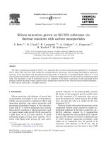 Silicon nanowires grown on si(1 0 0) substrates via thermal reactions with carbon nanoparticles