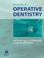 Principles of Operative Dentistry doc