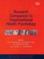 RESEARCH COMPANION TO ORGANIZATIONAL HEALTH PSYCHOLOGY ppt