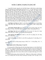 NUÔI CÁ BỐNG TƯỢNG Ở LONG MỸ pdf