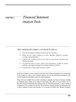 financial statement analysis tools