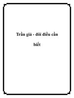 Trần giả - đôi điều cần biết potx