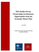 PPP (Public-Private Partnerships) in Indonesia: Opportunities from the Economic Master Plan pdf