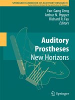 Auditory Prostheses pdf