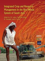 integrated crop and resource management in the rice wheat system of south asia doc