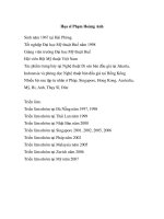 Họa sĩ Phạm Hoàng Anh pdf