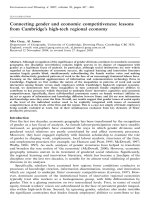 Connecting gender and economic competitiveness: lessons from Cambridge''''s high-tech regional economy potx