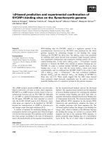 Báo cáo khoa học: DG-based prediction and experimental conﬁrmation of SYCRP1-binding sites on the Synechocystis genome pot