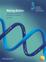 Making Babies: reproductive decisions and genetic technologies potx