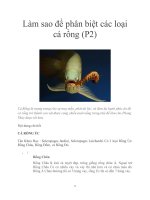 Làm sao để phân biệt các loại cá rồng (P2) ppt