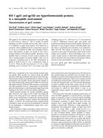 Báo cáo khoa học: HIV-1 gp41 and gp160 are hyperthermostable proteins in a mesophilic environment ppt