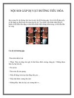 NỘI SOI GẮP DỊ VẬT ĐƯỜNG TIÊU HÓA doc