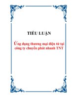 TIỂU LUẬN :Ứng dụng thương mại điện tử tại công ty chuyển phát nhanh TNT pptx