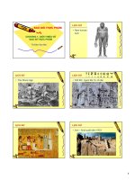 Bao gói thực phẩm ppt