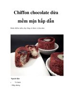 Chiffon chocolate dừa mềm mịn hấp dẫn pot