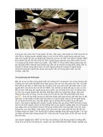 Thương mại điện tử Việt Nam - một thập kỉ phung phí pot