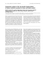 Báo cáo khoa học: Comparative analysis of the site-speciﬁc N-glycosylation of human lactoferrin produced in maize and tobacco plants pdf