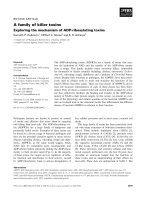 Báo cáo khoa học: A family of killer toxins Exploring the mechanism of ADP-ribosylating toxins pptx