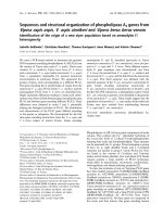 Báo cáo khoa học: Sequences and structural organization of phospholipase A2 genes from Vipera aspis aspis, V. aspis zinnikeri and Vipera berus berus venom Identiﬁcation of the origin of a new viper population based on ammodytin I1 heterogeneity docx