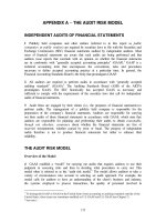 APPENDIX A – THE AUDIT RISK MODEL INDEPENDENT AUDITS OF FINANCIAL STATEMENTS pdf