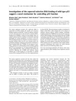 Báo cáo khoa học: Investigations of the supercoil-selective DNA binding of wild type p53 suggest a novel mechanism for controlling p53 function doc