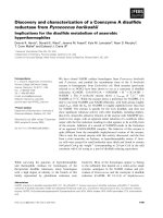 Báo cáo khoa học: Discovery and characterization of a Coenzyme A disulﬁde reductase from Pyrococcus horikoshii Implications for the disulﬁde metabolism of anaerobic hyperthermophiles doc