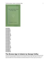 The Bronze Age in Ireland pdf