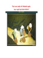 Tại sao một số thành ngữ, tục ngữ lại khó hiểu? pdf