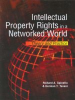 Intellectual Property Rights in a Networked World: Theory and Practice doc