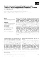 Báo cáo khoa học: Crystal structure of archaeal highly thermostable L-aspartate dehydrogenase/NAD/citrate ternary complex doc
