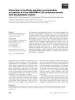 Báo cáo khoa học: Interaction of synthetic peptides corresponding to hepatitis G virus (HGV/GBV-C) E2 structural protein with phospholipid vesicles doc