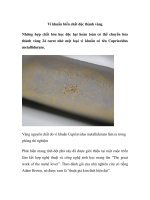 Vi khuẩn biến chất độc thành vàng ppt