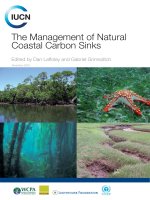 The Management of Natural Coastal Carbon Sinks docx