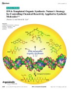 DNA-Templated Organic Synthesis: Natures Strategy for Controlling Chemical ReactivityApplied to Synthetic Molecules** doc